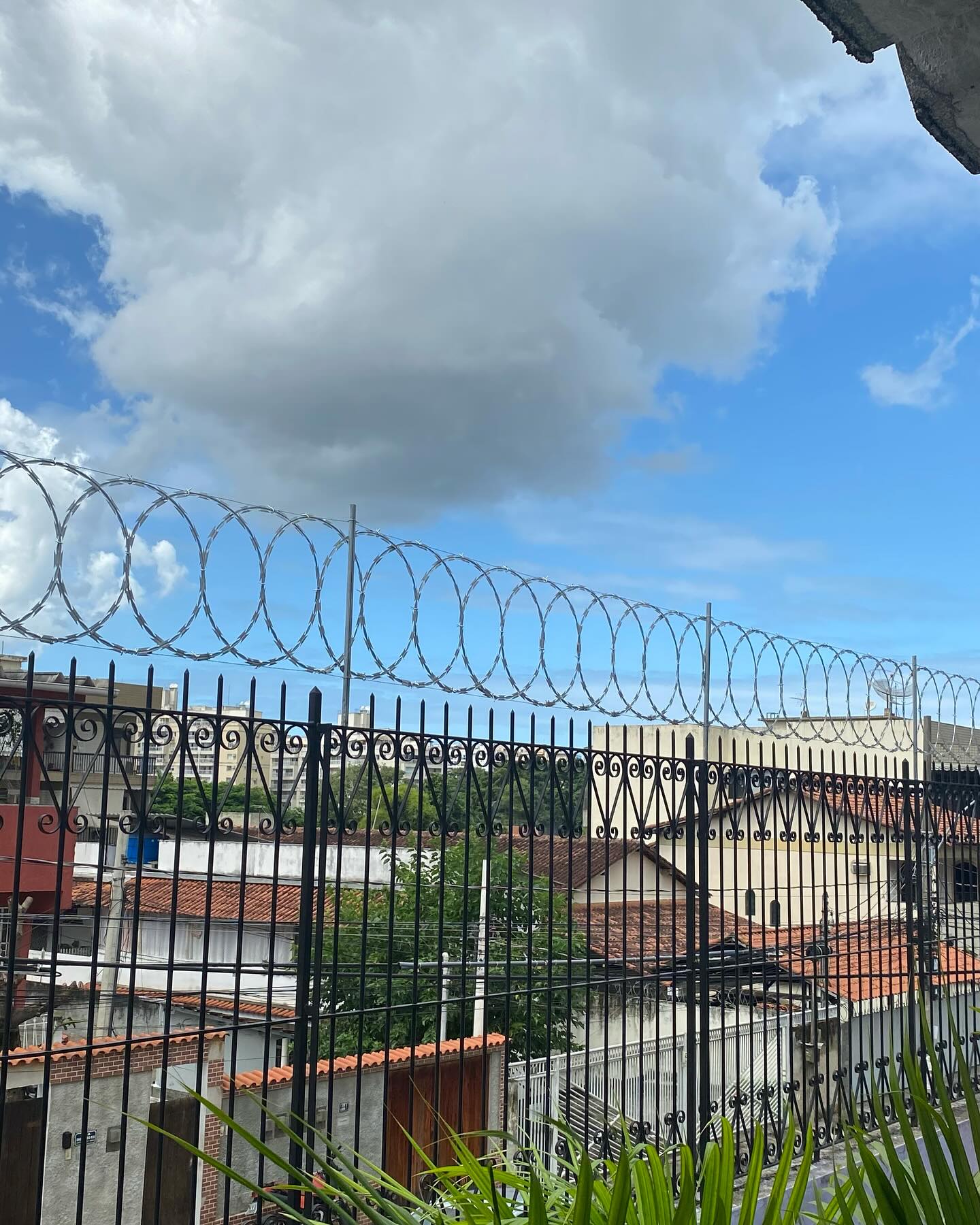 Detalhe da concertina